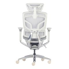 Ghế Công Thái Học Ergonomic GTChair Alien
