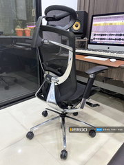 Ghế Công Thái Học Ergonomic GTChair IFIT