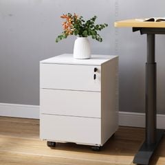 Tủ đựng văn phòng FlexiSpot RC2