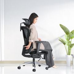 Ghế Văn Phòng Cao Cấp Ergonomic ErgoStuhl Q1