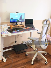 Ghế Công Thái Học Ergonomic Elegant T23