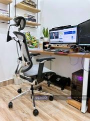 Ghế Công thái học Ergonomic GTChair Marrit X - Bản tay 5D