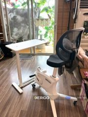 Bàn làm việc di động điều chỉnh độ cao Flexispot H7