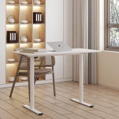 Bàn làm việc đứng điều chỉnh độ cao Flexispot ER1 (1 Motor- 2 Stages)