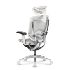 Ghế Công thái học Ergonomic GTChair Marrit X Grey-White Frame
