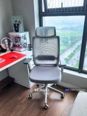 Ghế Công Thái Học Ergonomic Elegant T23