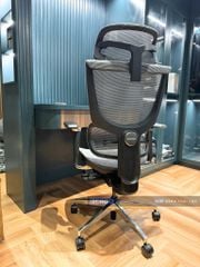 Ghế Công Thái Học Ergonomic ErgoStuhl Fenix 8 Pro (Footrest)
