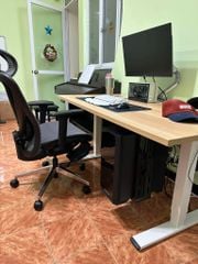 Ghế Văn Phòng Cao Cấp Ergonomic ErgoStuhl Q1