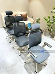 Ghế Công Thái Học Ergonomic Elegant T21