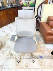 Ghế Công Thái Học Ergonomic Elegant T23