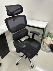 Ghế Công Thái Học Ergonomic ErgoStuhl Q3