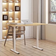 Bàn làm việc đứng điều chỉnh độ cao Flexispot ER1 (1 Motor- 2 Stages)