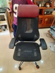 Ghế Công thái học Ergonomic GTChair ROC Gaming