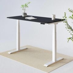 Bàn làm việc nâng hạ độ cao Flexispot E7 (3 Stages)