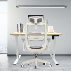 Combo Bàn Ghế Công Thái Học Modern Comfort