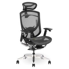 Ghế Công Thái Học Ergonomic GTChair IFIT