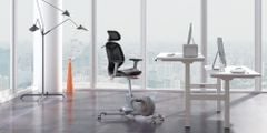 Ghế Ergonomic Fitness Chair FlexiSpot V6