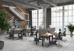 Ghế Ergonomic Fitness Chair FlexiSpot V6