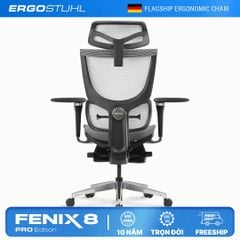 Ghế Công Thái Học Ergonomic ErgoStuhl Fenix 8 Pro (Footrest)