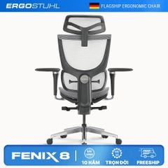 Ghế Công Thái Học Ergonomic ErgoStuhl Fenix 8