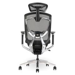 Ghế Công Thái Học Ergonomic GTChair IFIT