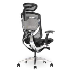 Ghế Công Thái Học Ergonomic GTChair IFIT