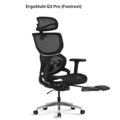 Ghế Công Thái Học Ergonomic ErgoStuhl Q3