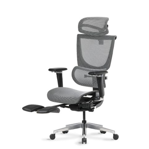  Ghế Công Thái Học Ergonomic ErgoStuhl Fenix 8 Pro 