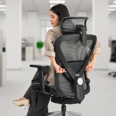Ghế Văn Phòng Cao Cấp Ergonomic ErgoStuhl Q1