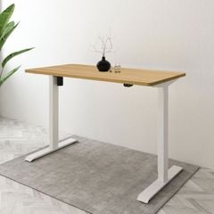 Bàn làm việc đứng điều chỉnh độ cao Flexispot (Lite - 2 Stages) - EC1