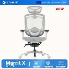 Ghế Văn Phòng Cao Cấp GTChair Marrit X Grey-White Frame