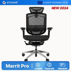 Ghế Công thái học Ergonomic GTChair Marrit X Pro
