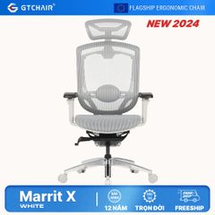 Ghế Công thái học Ergonomic GTChair Marrit X Grey-White Frame