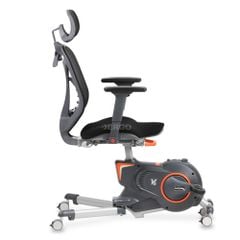 Ghế Ergonomic Fitness Chair FlexiSpot V6