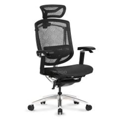 Ghế Công thái học Ergonomic GTChair Marrit X Pro
