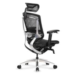 Ghế Công thái học Ergonomic GTChair Marrit X Pro