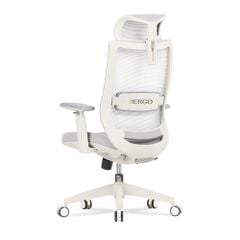 Ghế Công Thái Học Ergonomic Elegant T23