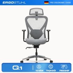 Ghế Công Thái Học Ergonomic Ergostuhl Q1