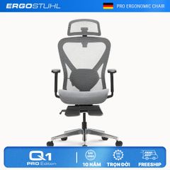 Ghế Công Thái Học Ergonomic ErgoStuhl Q1 Pro (Footrest)