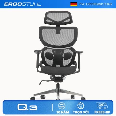  Ghế Công Thái Học Ergonomic ErgoStuhl Q3 