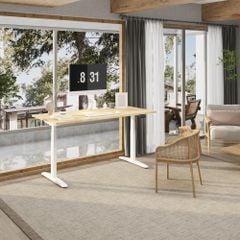 Bàn làm việc nâng hạ độ cao cao cấp FlexiSpot Q7