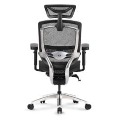 Ghế Công thái học Ergonomic GTChair Marrit X Pro