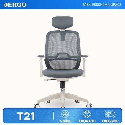  Ghế Công Thái Học Ergonomic Elegant T21 