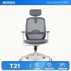 Ghế Công Thái Học Ergonomic Elegant T21