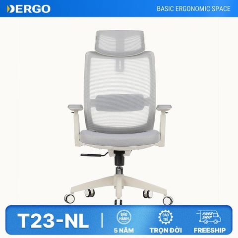  Ghế Công Thái Học Ergonomic Elegant T23 