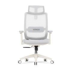 Ghế Công Thái Học Ergonomic Elegant T23