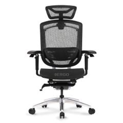 Ghế Công thái học Ergonomic GTChair Marrit X Pro
