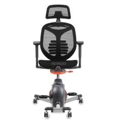 Ghế Ergonomic Fitness Chair FlexiSpot V6