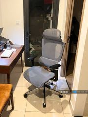Ghế Công Thái Học Ergonomic ErgoStuhl Fenix 8