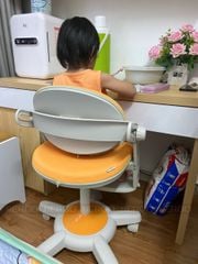 Ghế ngồi học chống gù Hanover Apollo C21